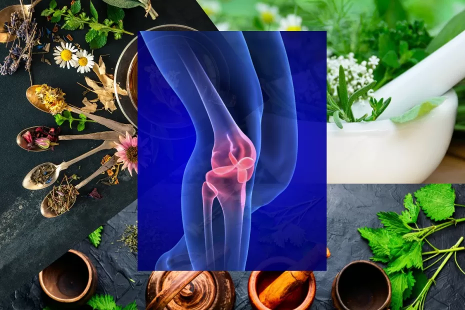 Arthritis herbal remedy for pain management
