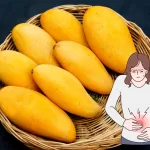 mango fruit prevents constipation