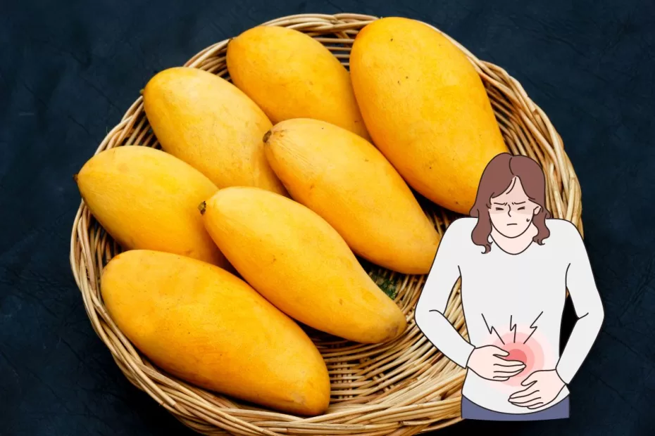 mango fruit prevents constipation
